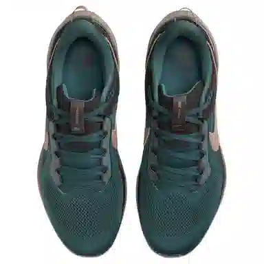 Nike Air Zoom Pegasus 41 SP