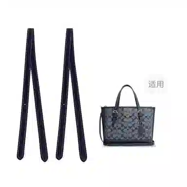 COACH Mollie 25 Tote