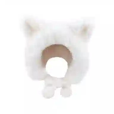 BAGGL