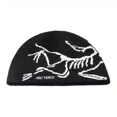 Arcteryx Beanie Black