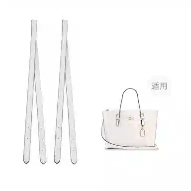 COACH Mollie 25 Tote