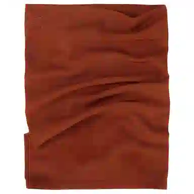 Arcteryx Crocodile Neck Gaiter