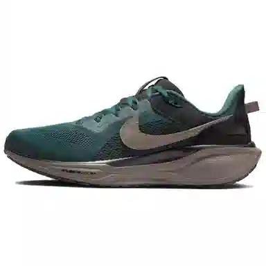 Nike Air Zoom Pegasus 41 SP