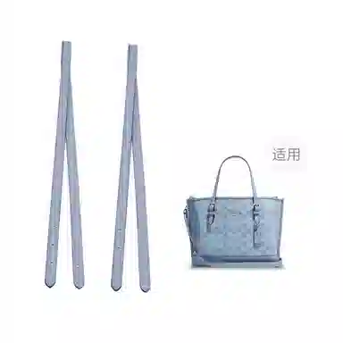COACH Mollie 25 Tote