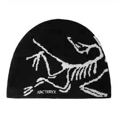 Arcteryx Beanie Black