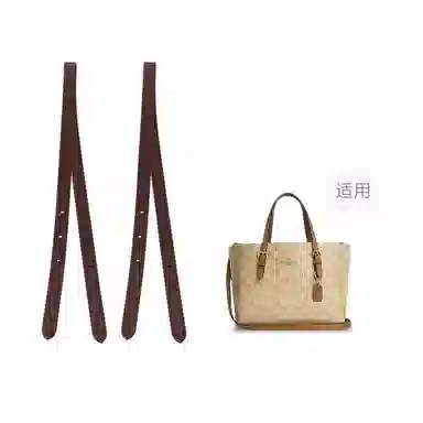 COACH Mollie 25 Tote