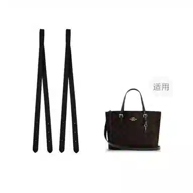 COACH Mollie 25 Tote