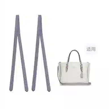 COACH Mollie 25 Tote