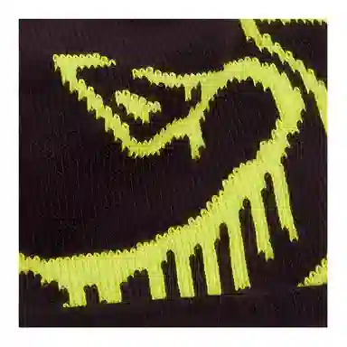 Arcteryx Beanie Brown