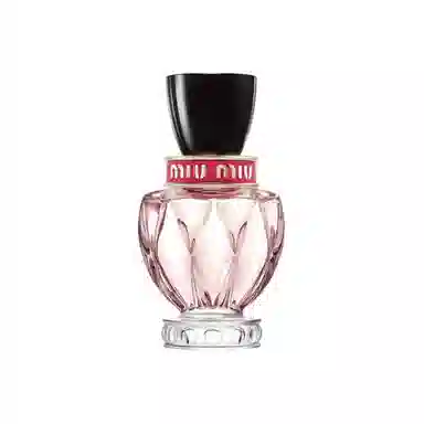 Miu Miu Twist
