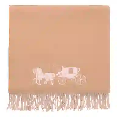 COACH Scarf