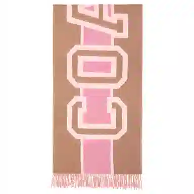 COACH Scarf