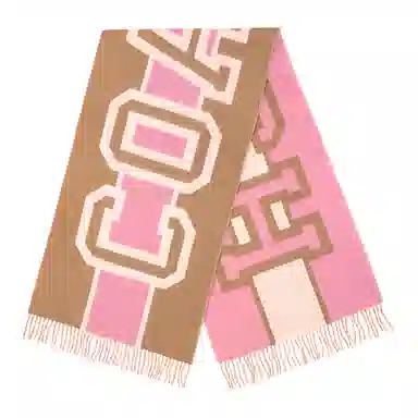 COACH Scarf