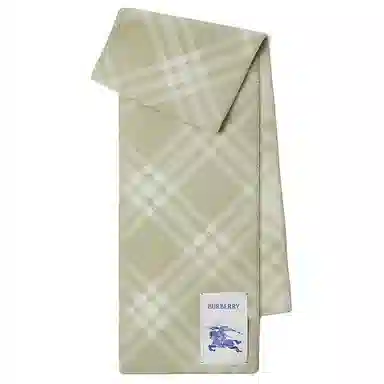 Burberry Scarf Grey Green
