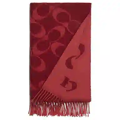 COACH Scarf