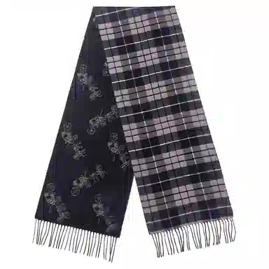 COACH Scarf