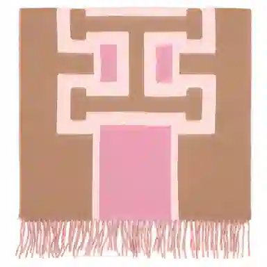 COACH Scarf