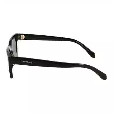Ferragamo Sunglasses