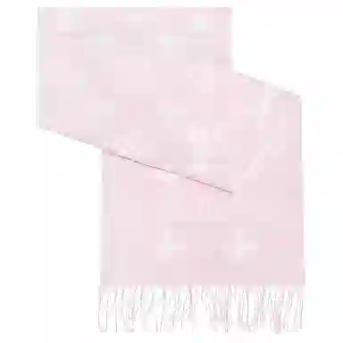 LOUIS VUITTON Monogram