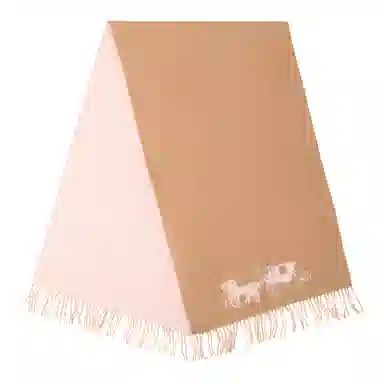 COACH Scarf
