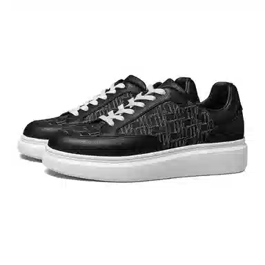 THOM WILLS trainer