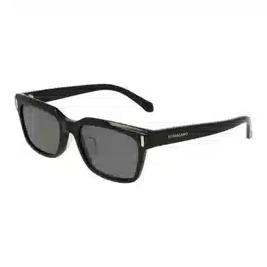 Ferragamo Sunglasses