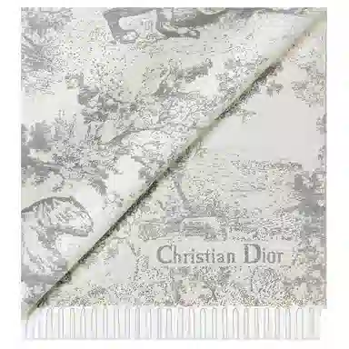 DIOR Scarf