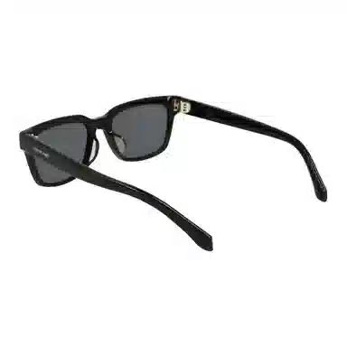 Ferragamo Sunglasses