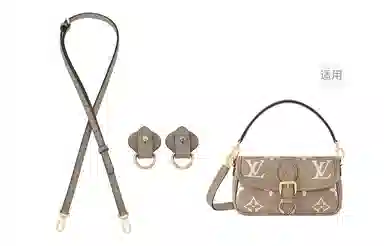 LV Diane nano