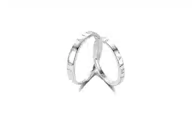 ROGA ins S925