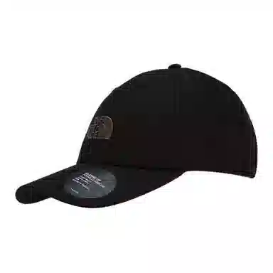 THE NORTH FACE Logo 4VSV