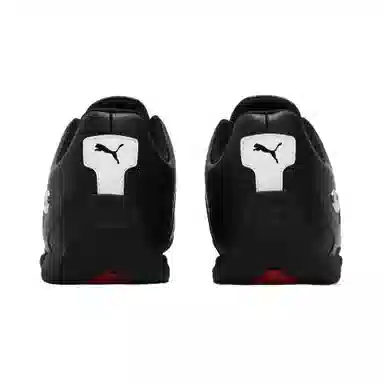 PUMA M Motorsport A3ROCAT