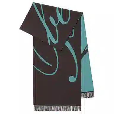 Burberry Jacquard Woven Scarf