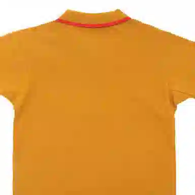 Burberry Polo Shirt Yellow