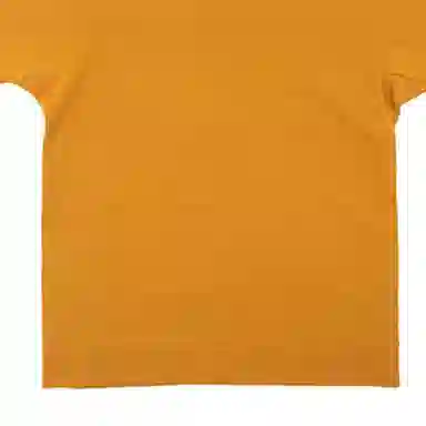 Burberry Polo Shirt Yellow