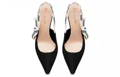 DIOR J'Adior Embroidered Heel Pumps Black