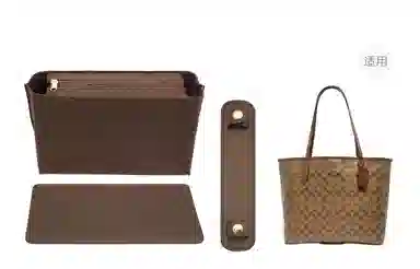CoachCity33tote
