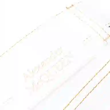 Alexander McQueen SS21