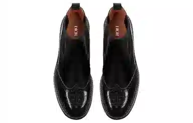 DIOR Evidence