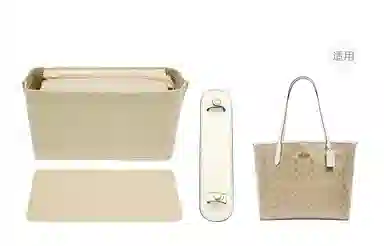CoachCity33tote