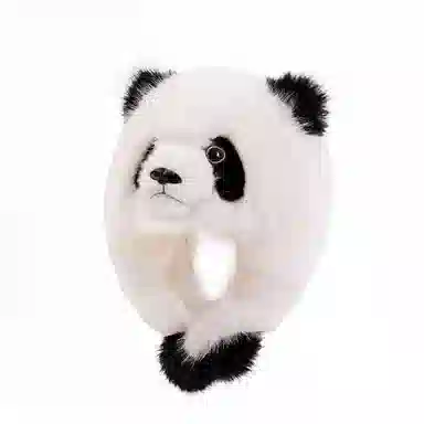 kakadream