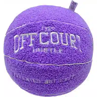 LEWAHON offcourt basketball pillow 25cm