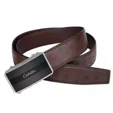 CATELLES 3.5cm