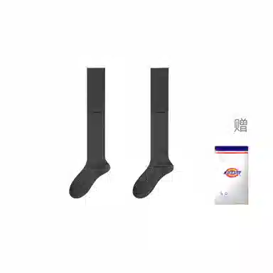 Dickies 2