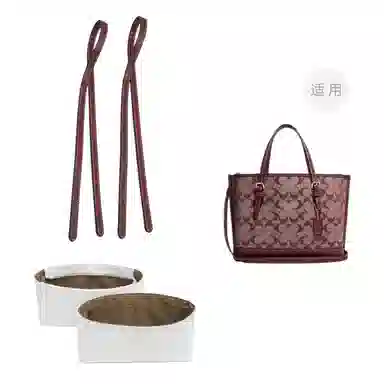 COACH Mollie 25 Totediy