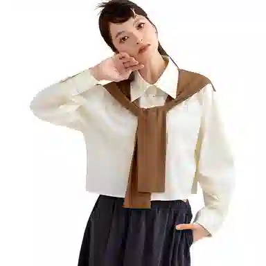 法文箱子 简约通勤长袖衬衫 女款 杏色