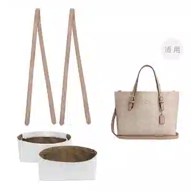 COACH Mollie 25 Totediy