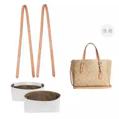 COACH Mollie 25 Totediy