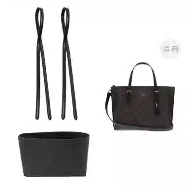 COACH Mollie 25 Totediy