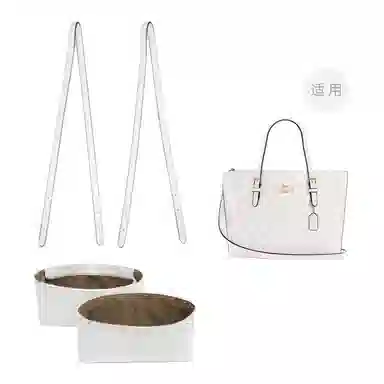 COACH Mollie 25 Totediy